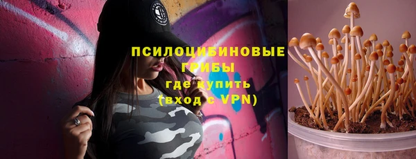 бошки Горняк