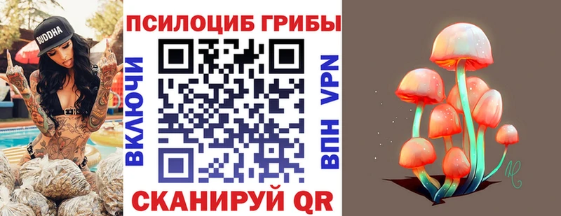 Галлюциногенные грибы Cubensis  Дедовск 